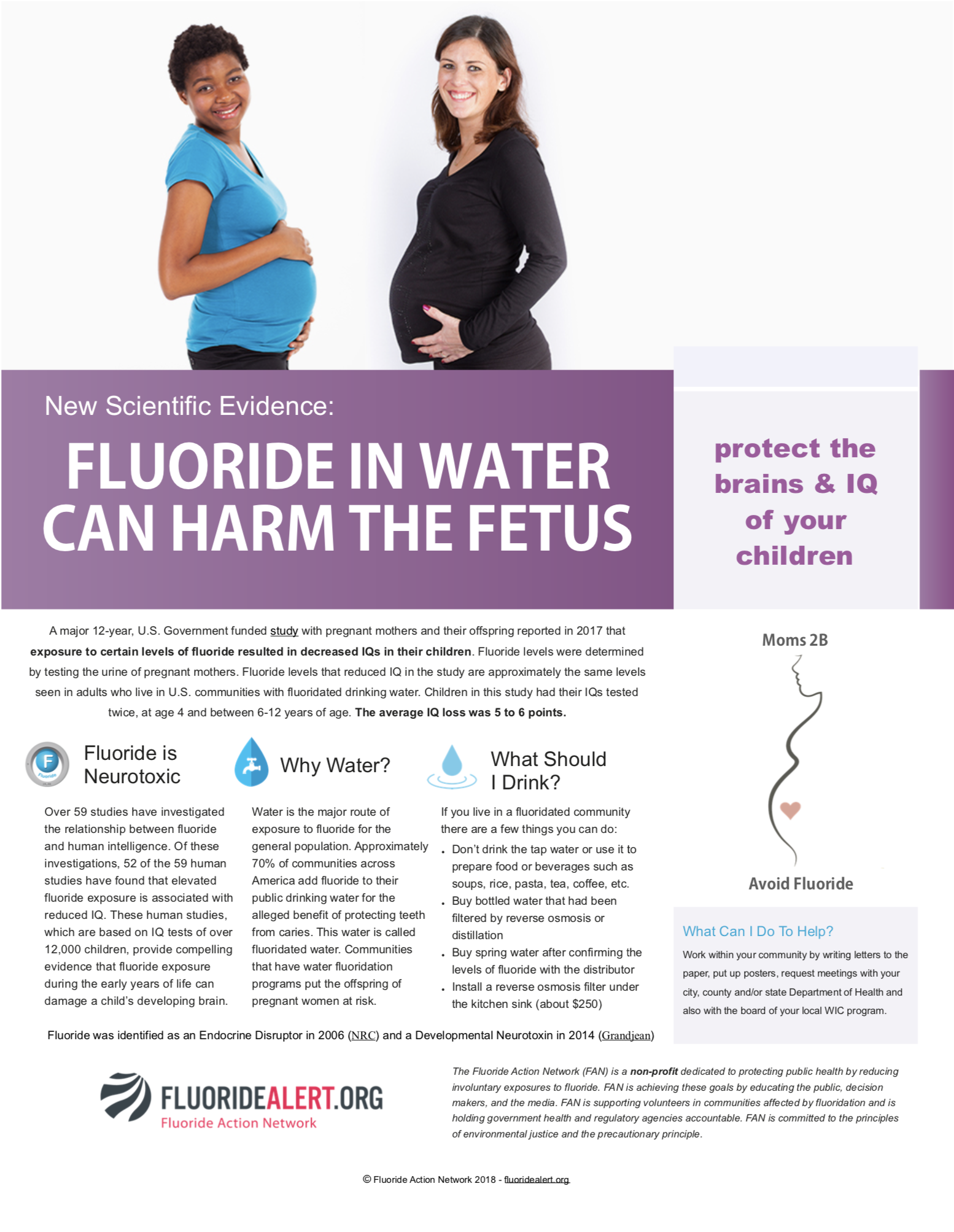 Fluoride Action Network Leaflets And Other Campaign Materials